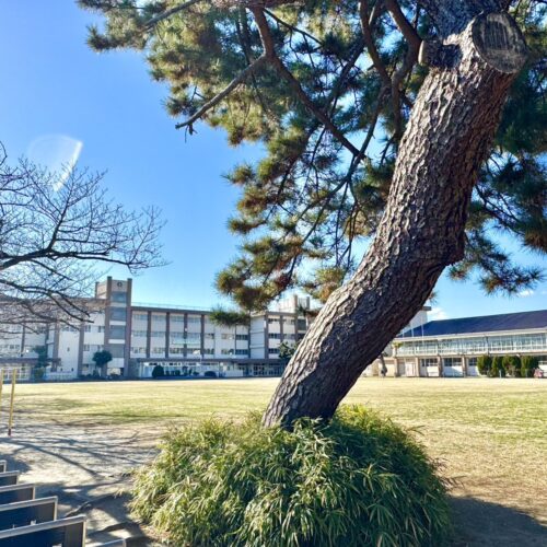 小田原市立下府中小学校