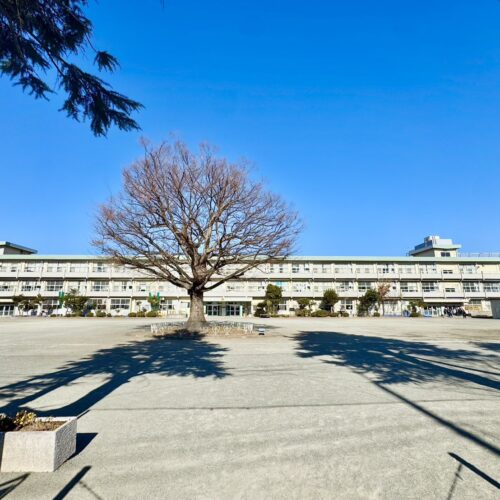 千代小学校