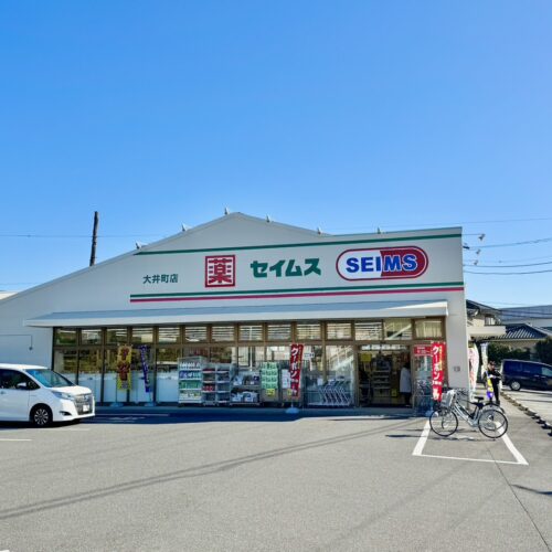 ドラッグセイムス